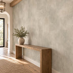 Greige Limewash Wallpaper — entryway